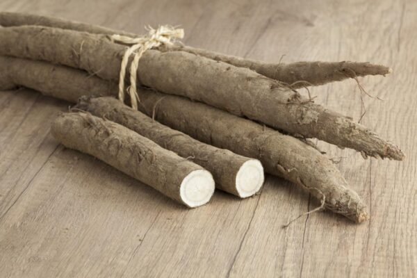 100g Organic Burdock Root - Image 3