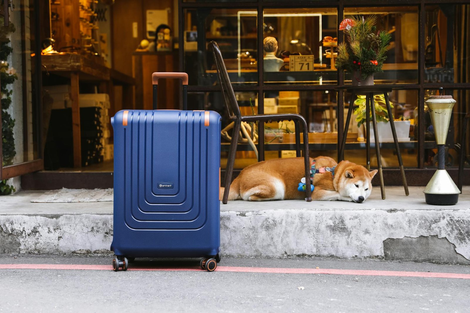 blue travel case next to a dog lying on the street