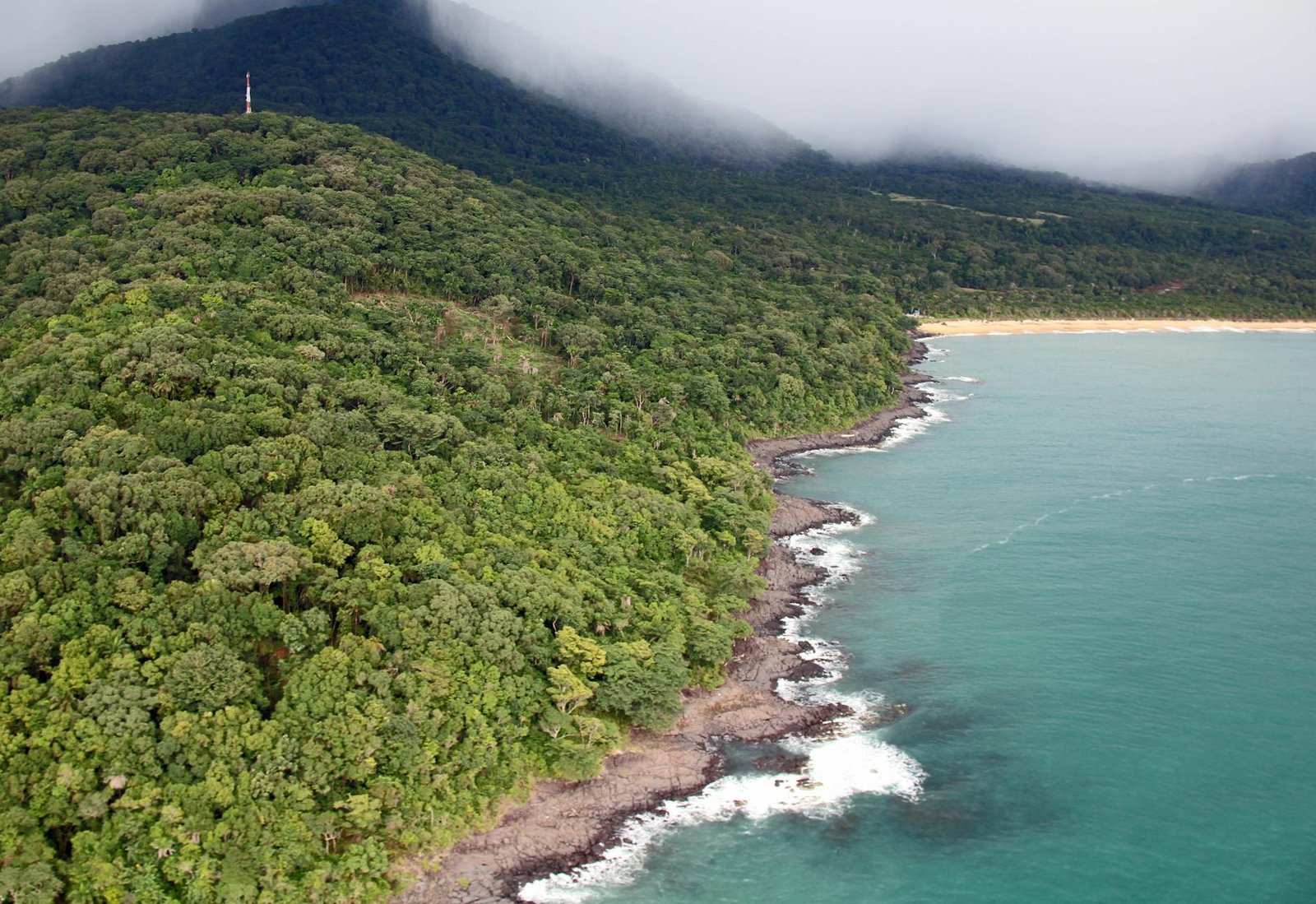 view of a tropical coastline