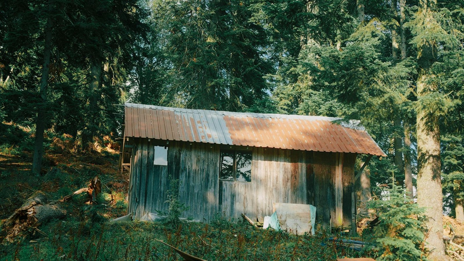 rustic wooden cabin in forest clearing