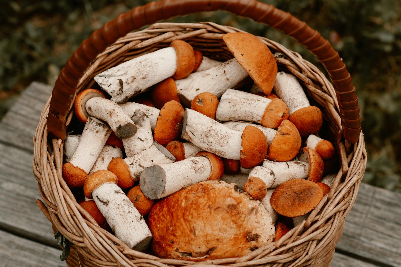 mushrooms in a basket