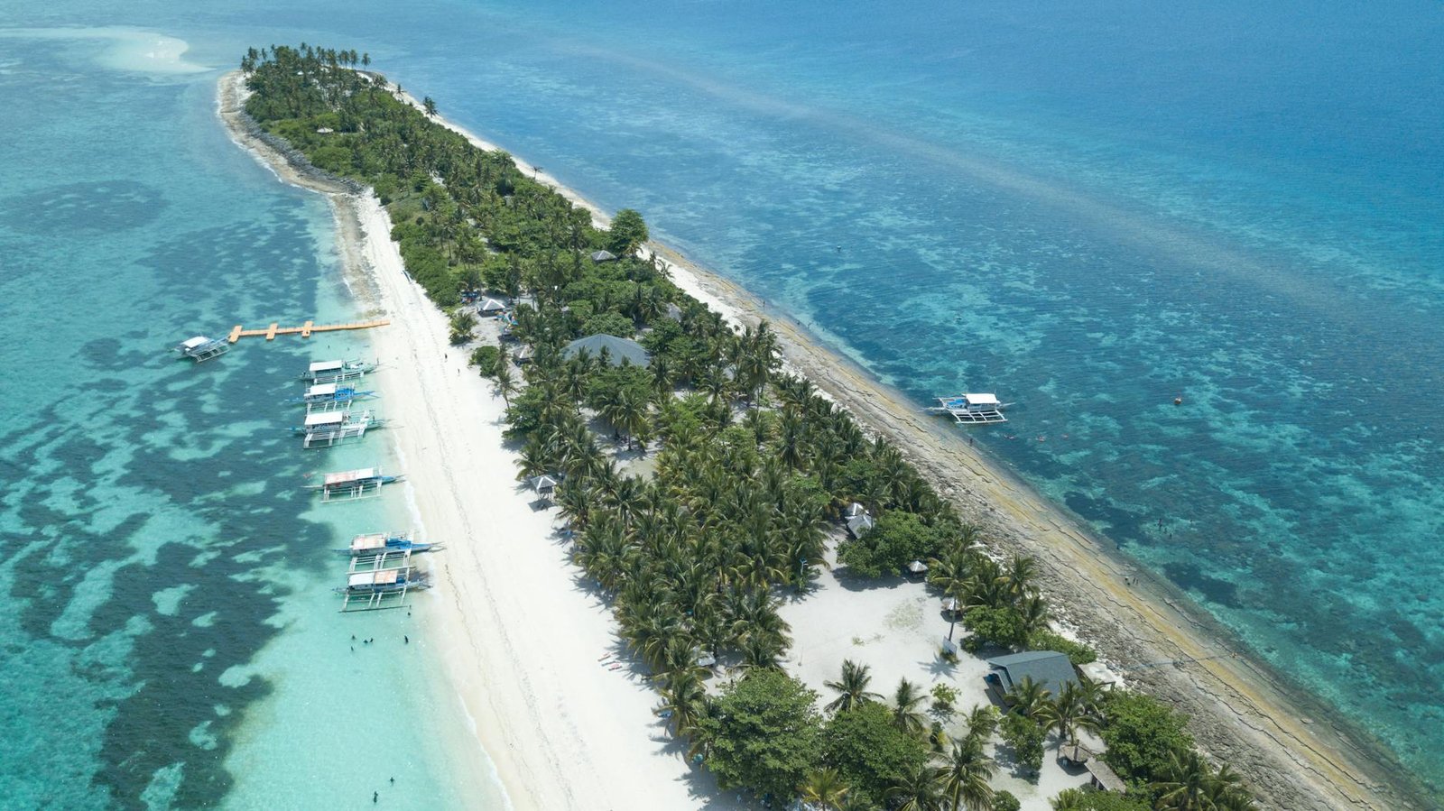 aerial view of long beach with palm trees in the ocean